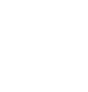 Air NZ